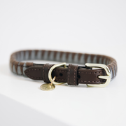 Kentucky Dogwear Dog Collar Triangle